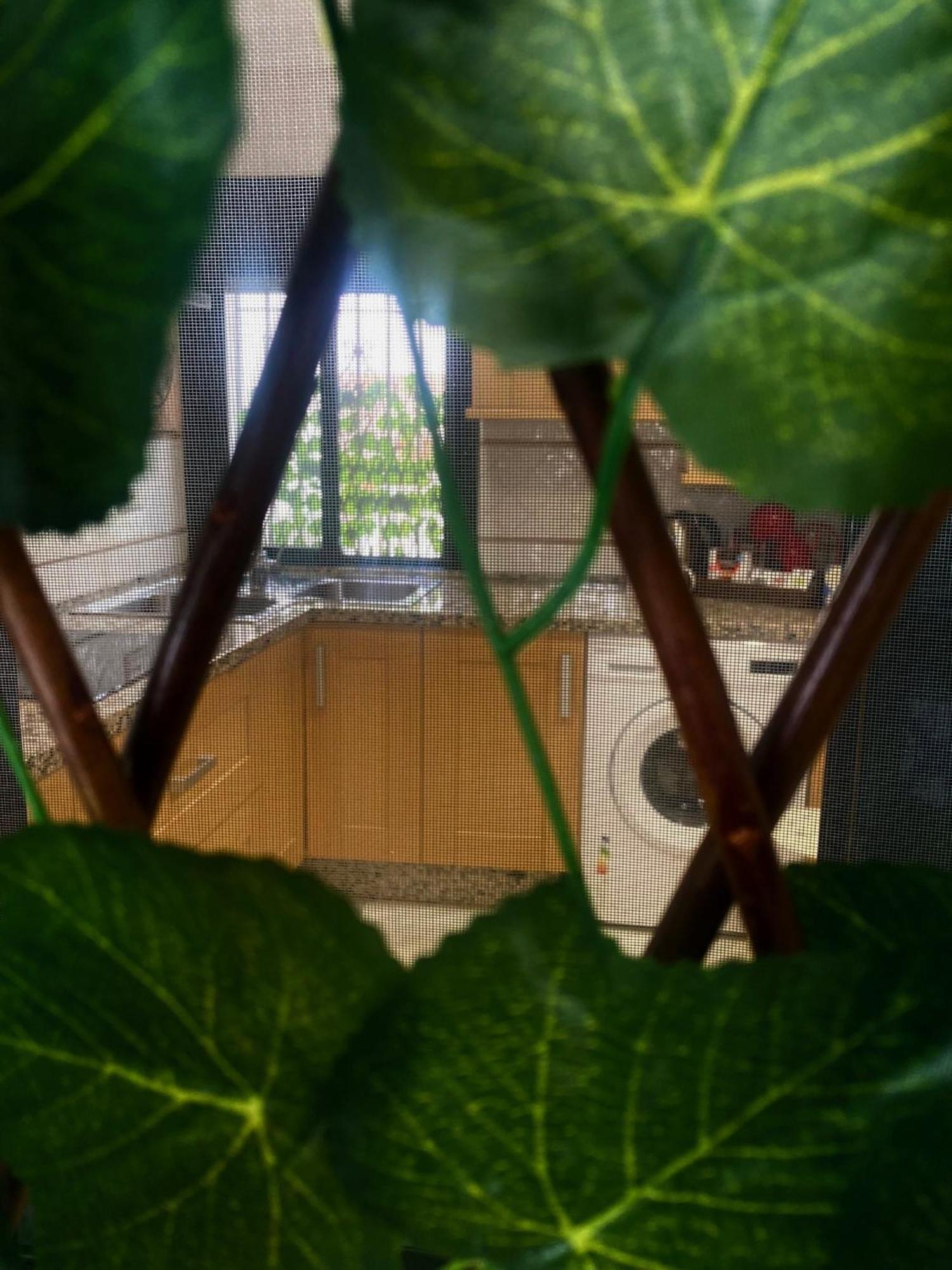 Home Regina コルドバ エクステリア 写真